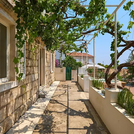 Hedera Estate Hedera A8 *