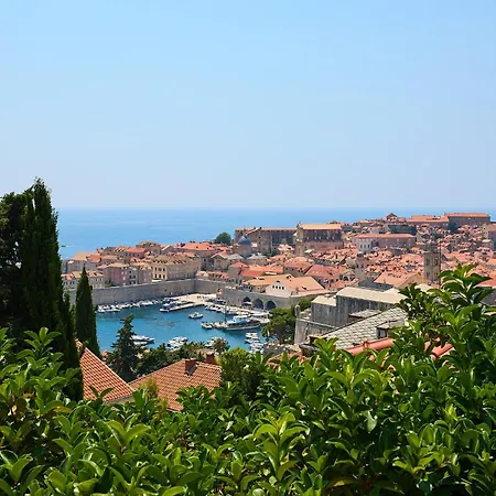 Hedera Estate Hedera A8 *