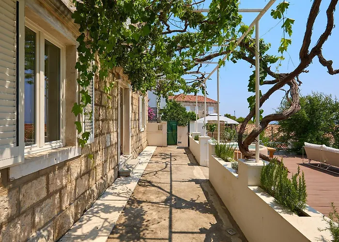 Hedera Estate Hedera A8 *