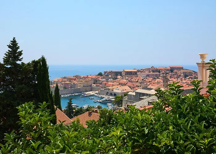 Hedera Estate Hedera A8 *